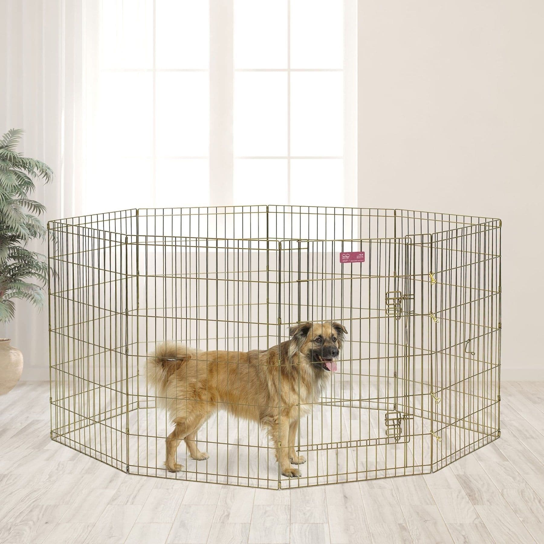 MidWest Gold Zinc Exercise Pen with Step-Thru Door, 36" tall