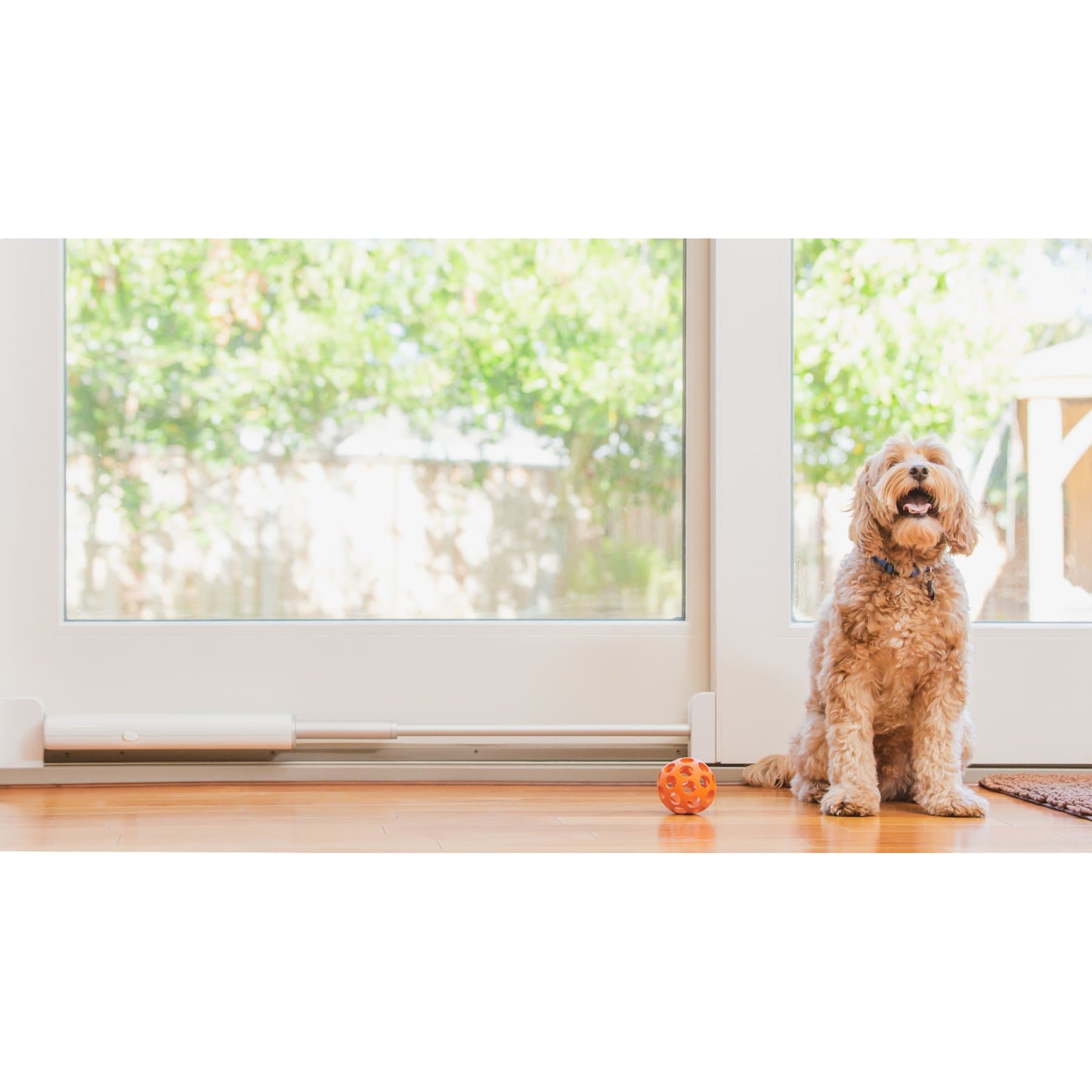 Wayzn Smart Pet Door, Medium