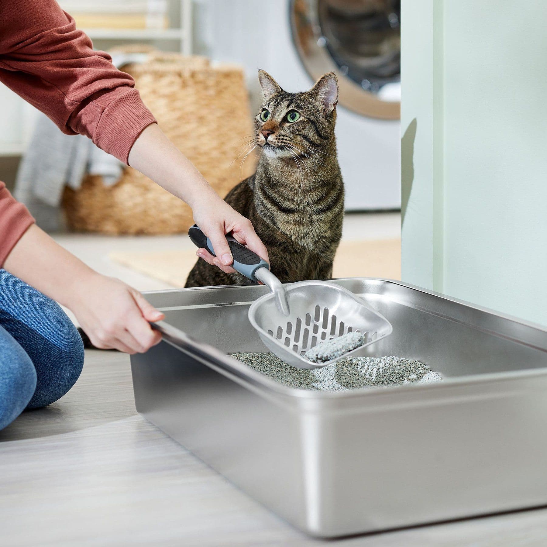 Frisco Cat Metal Litter Scoop