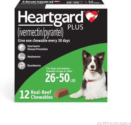 Green box of Heartgard Plus ivermectin and pyrantel chewables for dogs 26 to 50 pounds, 12 count