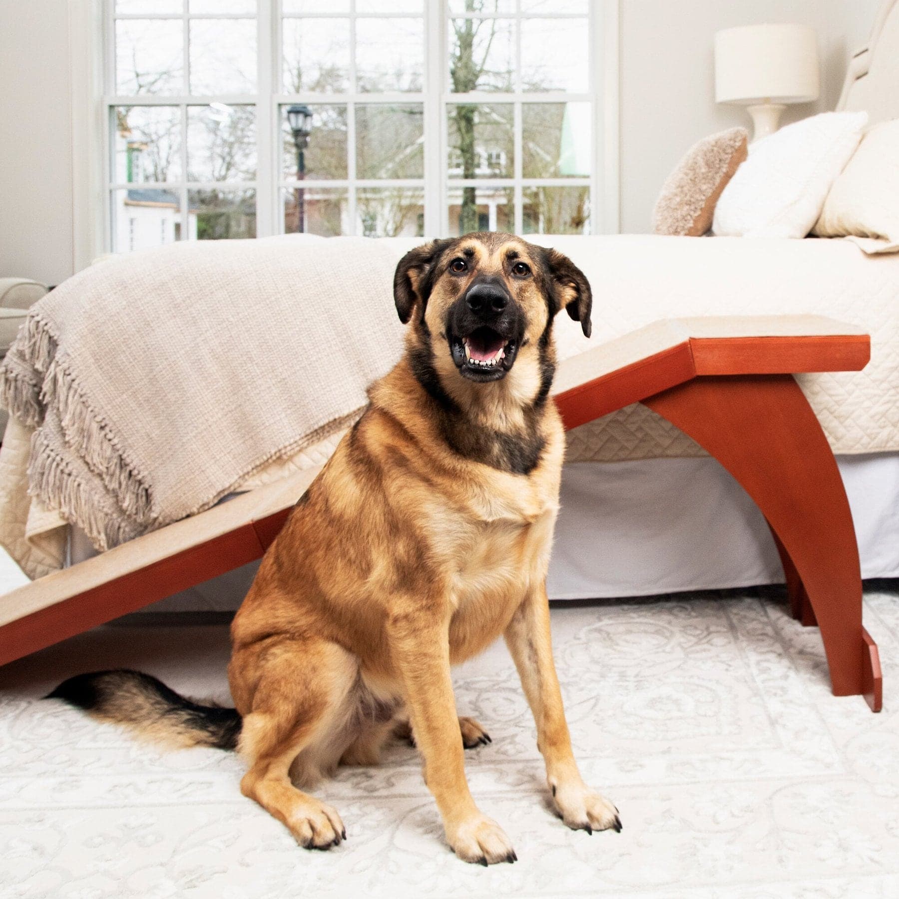 PetSafe CozyUp Wooden Cat & Dog Ramp, Cherry