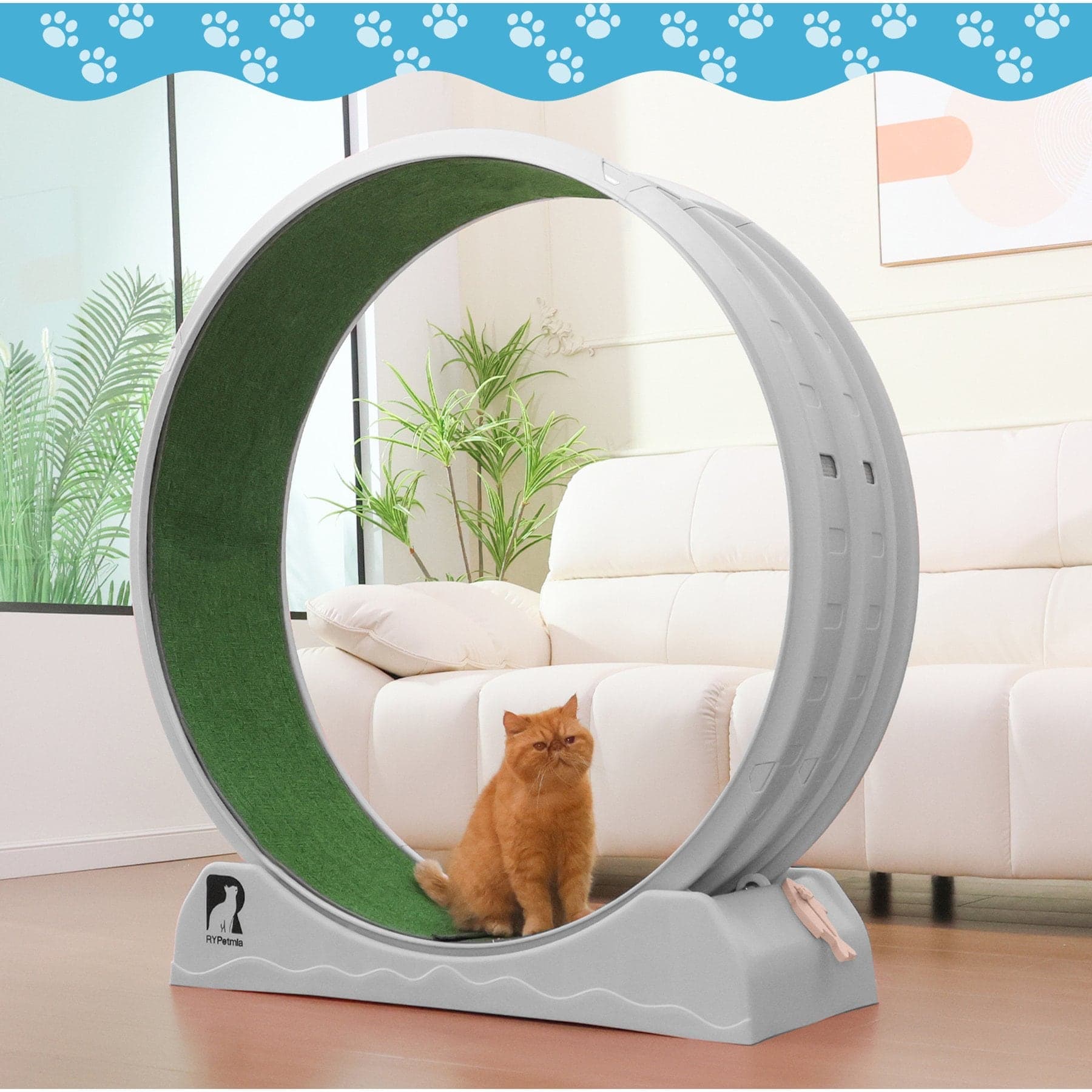 RYPetmia Indoor Cat Exercise Wheel with Interactive Toy, Grey, 44.5 x 14.5 x 47.2-in