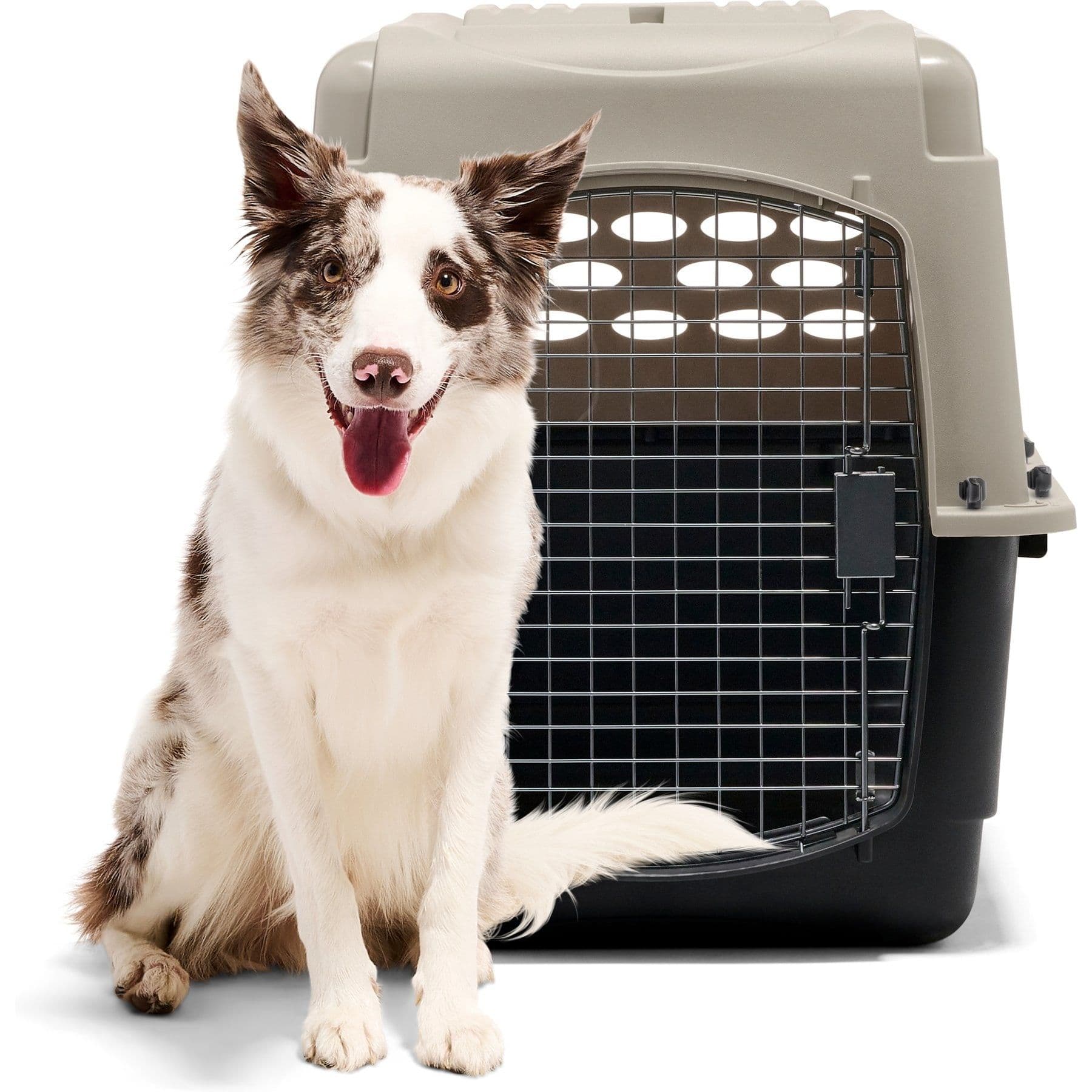 Petmate Vari plastic kennel with a dog sitting beside the open door