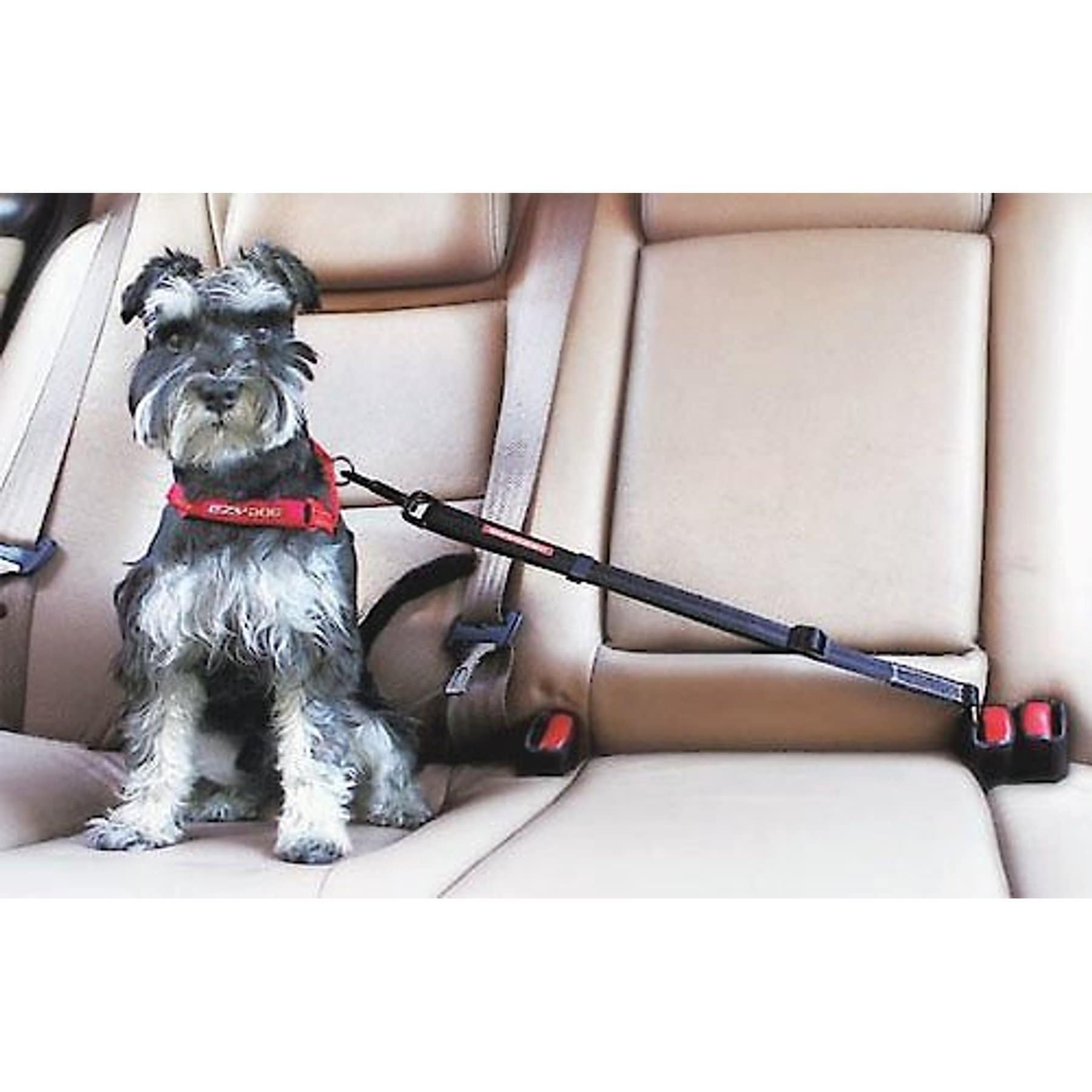 EzyDog Click Adjustable Seat Belt Restraint, Black