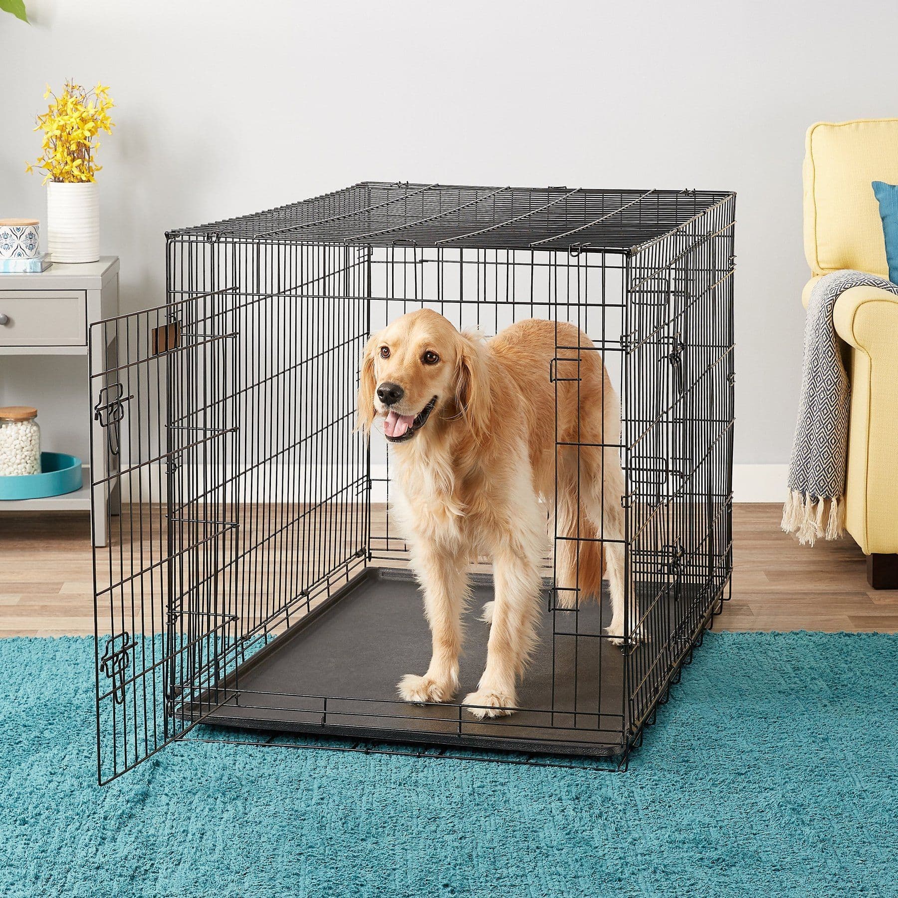 EliteField 3-Door Collapsible Wire Dog Crate with Divider, 48 inch