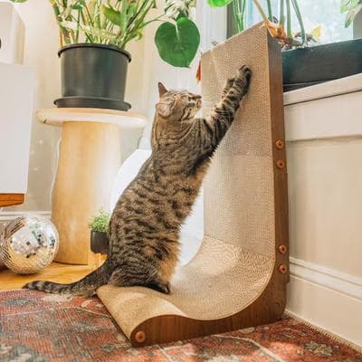Necoichi Premium Comfort Cat Scratcher Wall, Dark Cherry/Brown, Regular