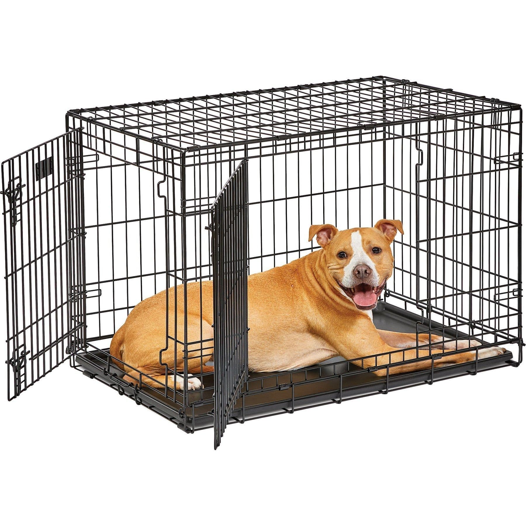 MidWest LifeStages Double Door Collapsible Wire Dog Crate, 36 inch