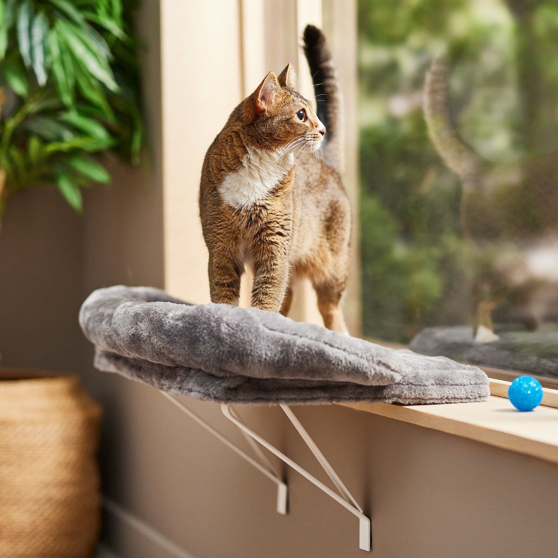 Frisco Plush Cat Window Perch with Removeable Bolster, Grey