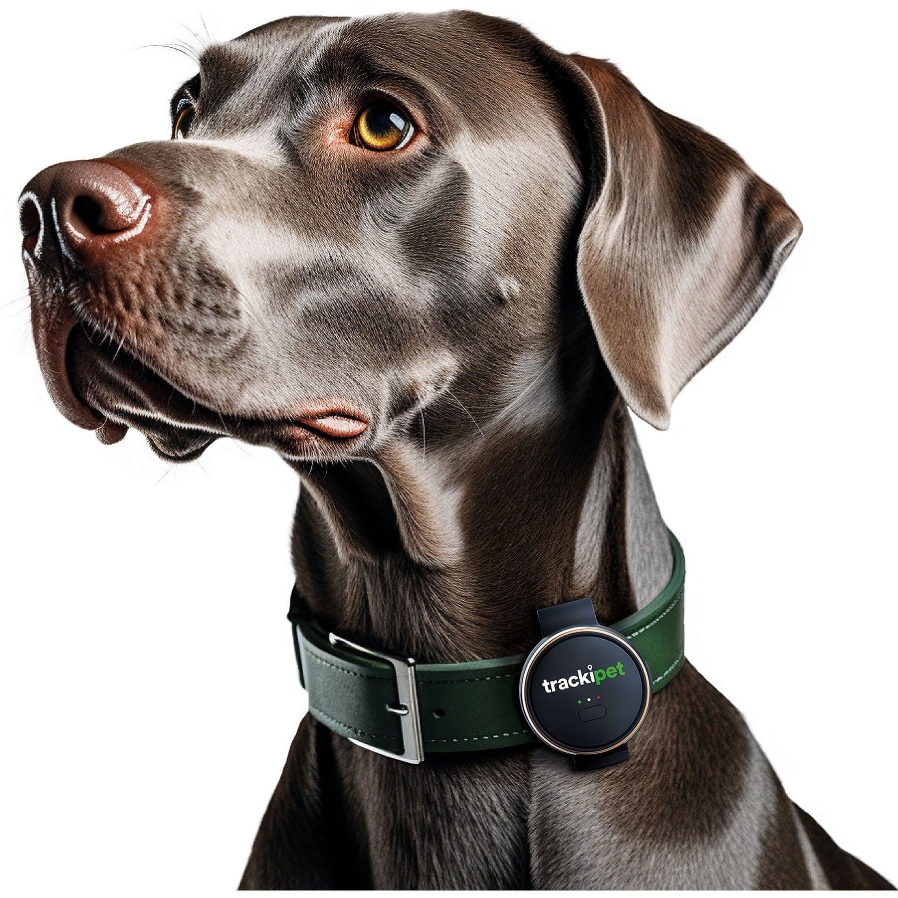 Tracki TrackiPet Smart GPS Dog Tracker, Slate