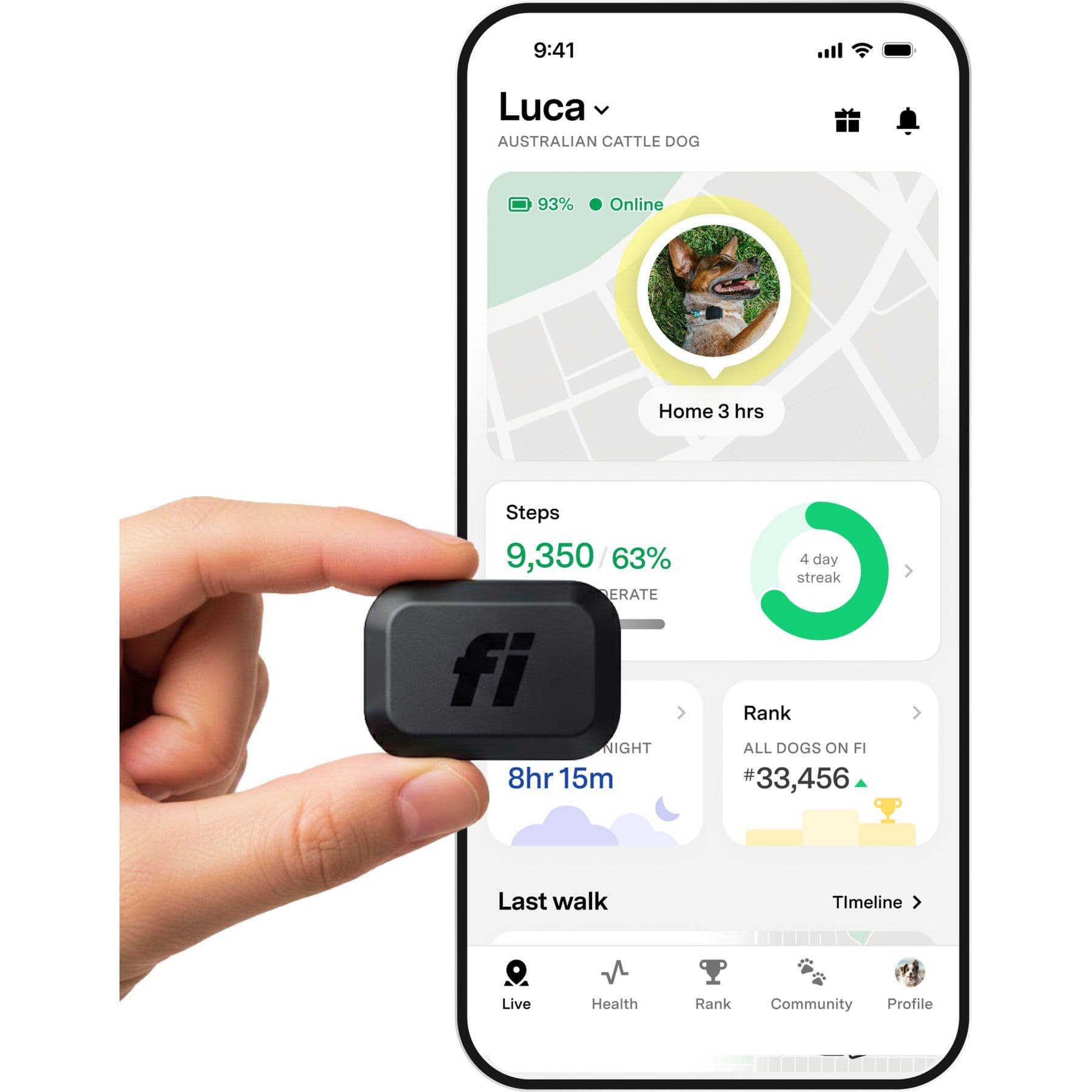 Fi Mini GPS Smart Dog Collar, Black