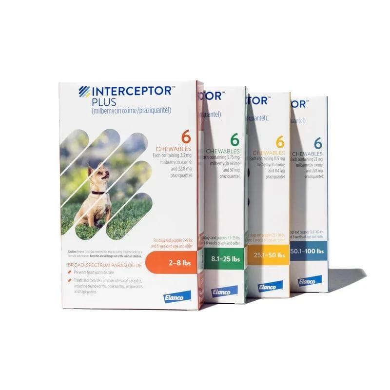 Interceptor Plus chew box for dogs, prescription heartworm and intestinal wormer