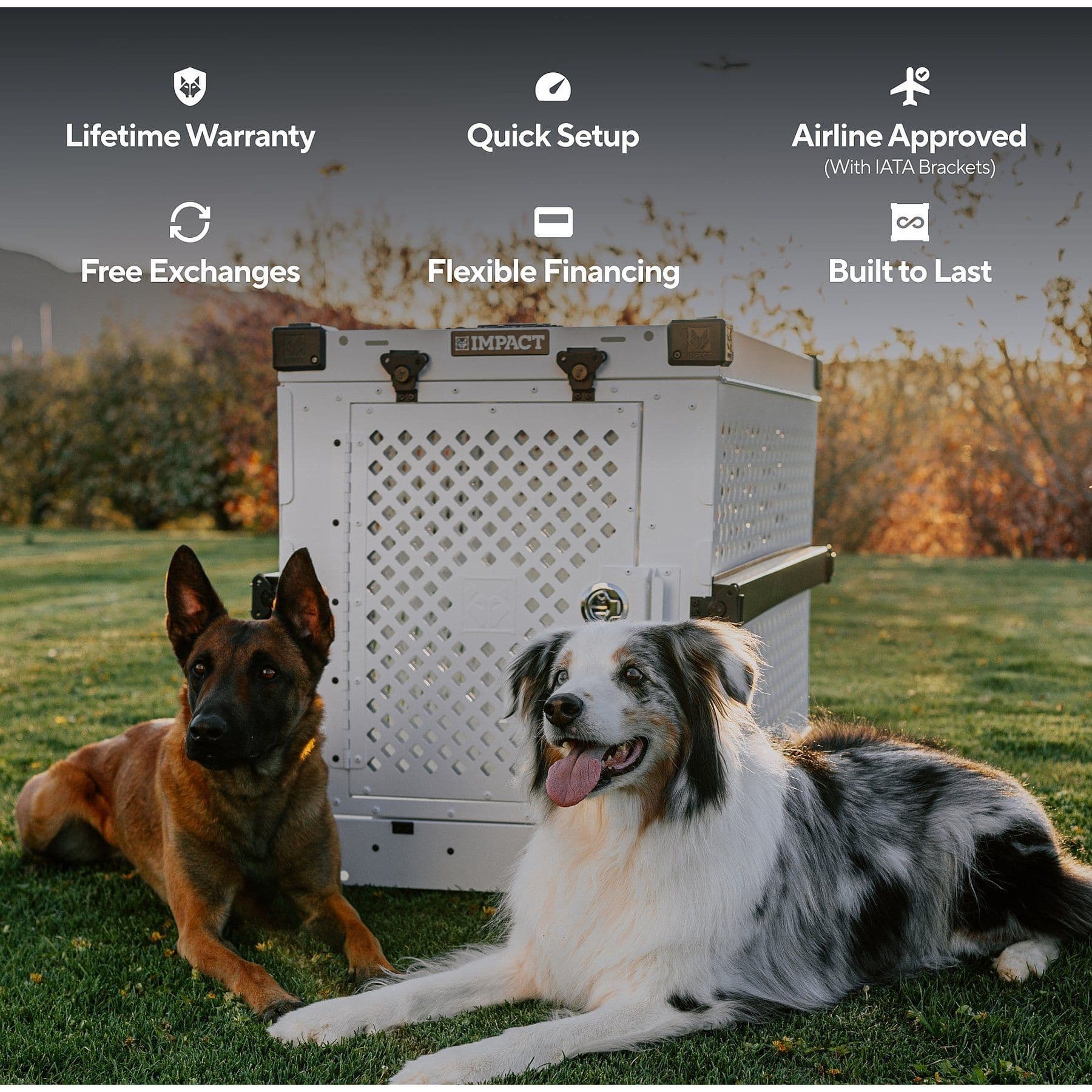 Impact Dog Crates Single Door Collapsible Aluminum Dog Crate, Gray, 30 inch