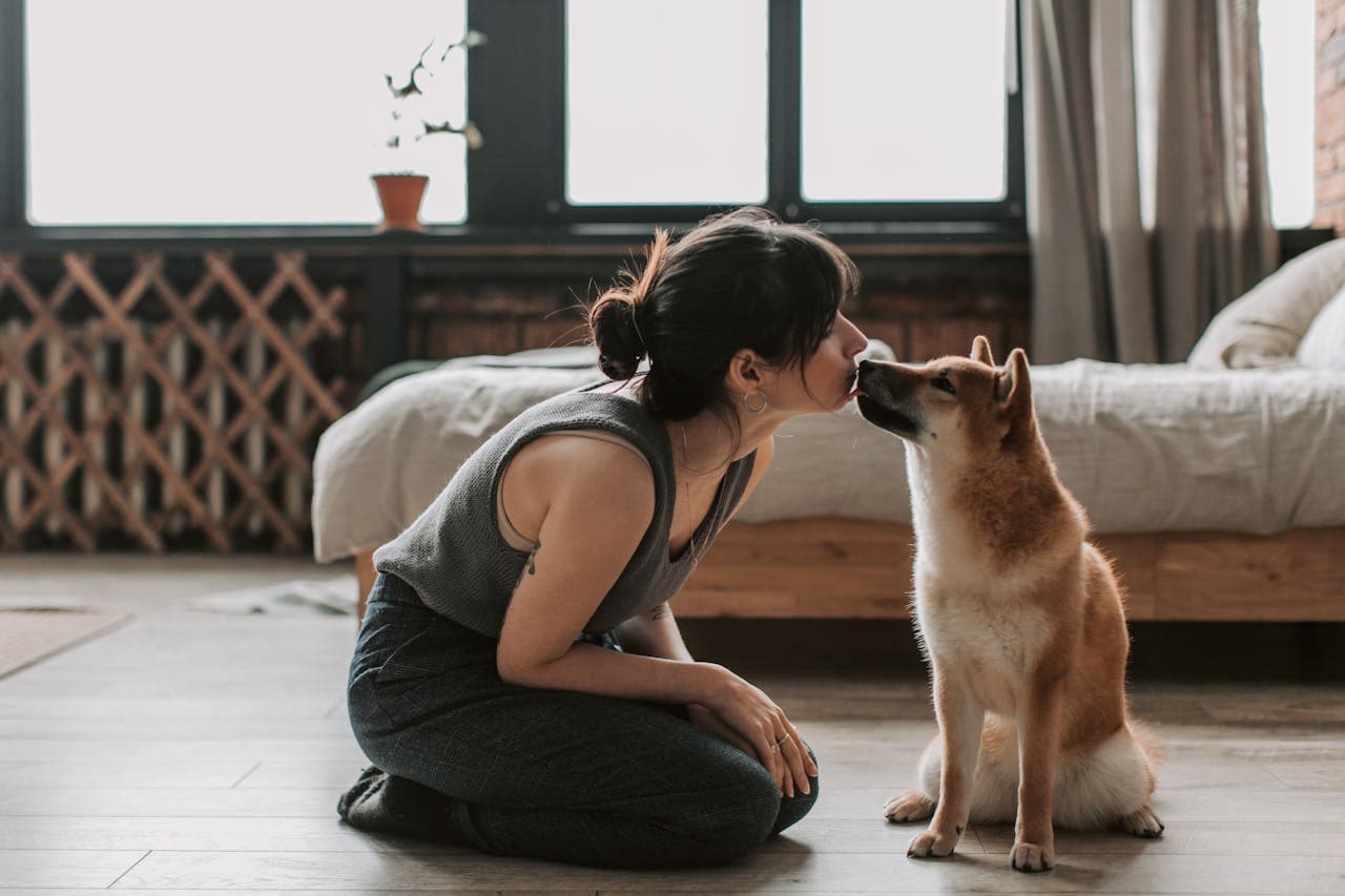 how to prevent unwanted dog licking